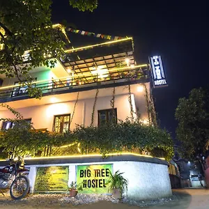 Big Tree Auberge de jeunesse Katmandou